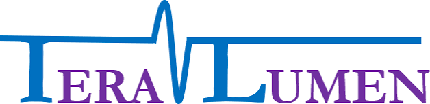 Teralumen Solutions, Chennai